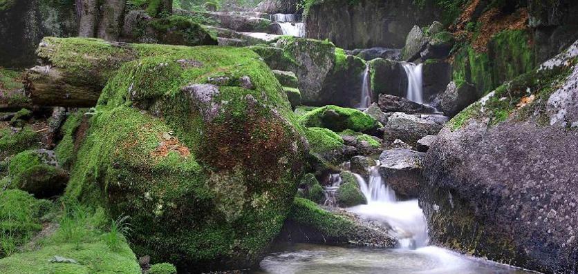 宜昌旅游年卡包含哪些景點2018