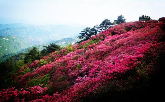 麻城龟峰山门票价格2018+优惠政策