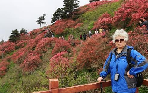 麻城龜峰山門票價格2018+優惠政策