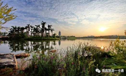 南昌有哪些湿地公园2018
