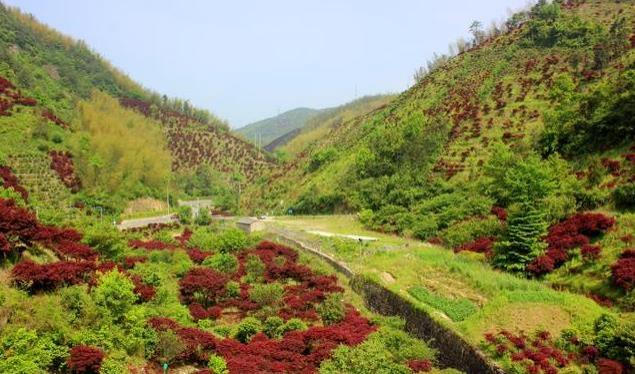 寧波最佳旅游景點路線攻略