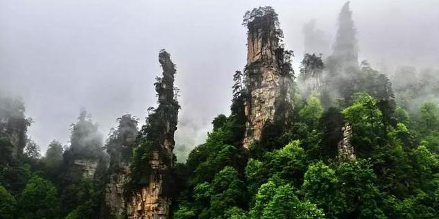 中国森林公园有哪些