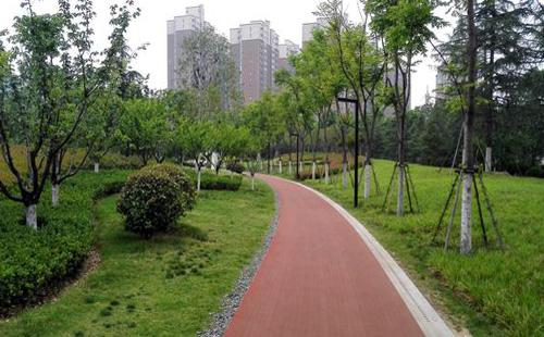 郑州有哪些公园好玩