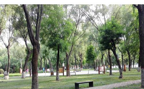 郑州有哪些公园好玩