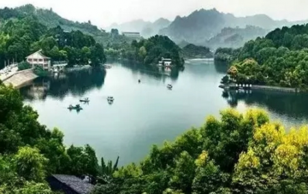 龙泉摘枇杷的地方有哪些2018