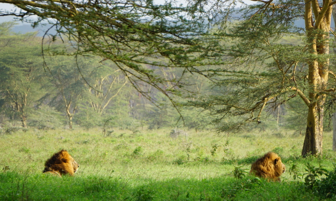 肯尼亚旅游景点