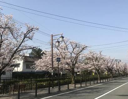 日本旅游有应该注意哪些细节