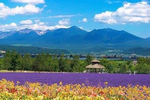 日本旅游有应该注意哪些细节