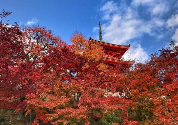 日本旅游有应该注意哪些细节