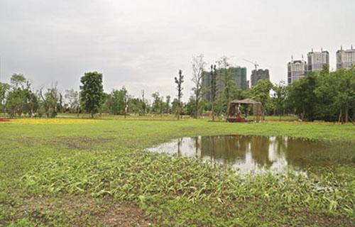 成都邛窯考古遺址公園開園時間2018