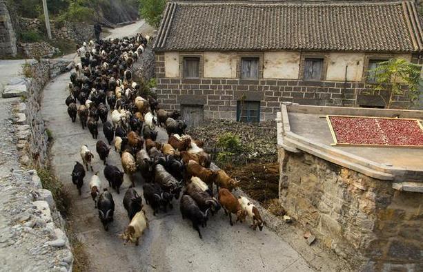 王家灿村旅游攻略 王家灿村在哪里