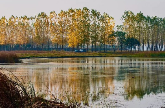 后官湖濕地公園在哪里+怎么去