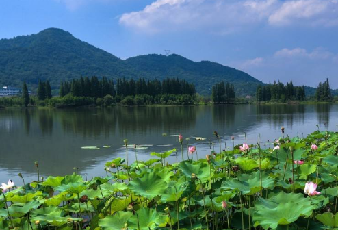 2018年519中國旅游日杭州蕭山區景點門票優惠