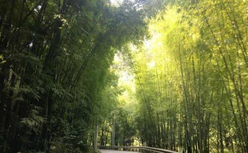 南寶山大峽谷一日游攻略