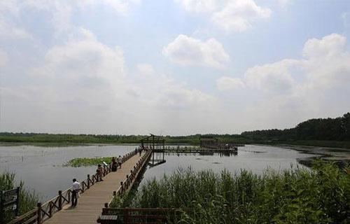 武汉有哪些湿地公园2018