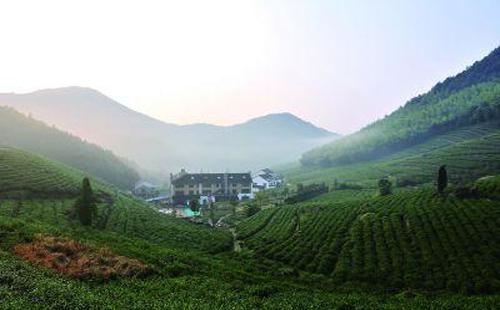 莫干山旅游注意事項