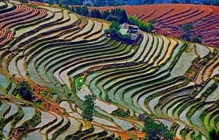 四川最适合避暑的景点有哪些