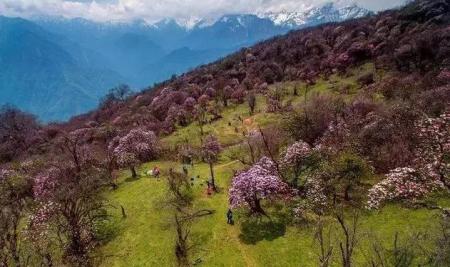 四川最适合避暑的景点有哪些
