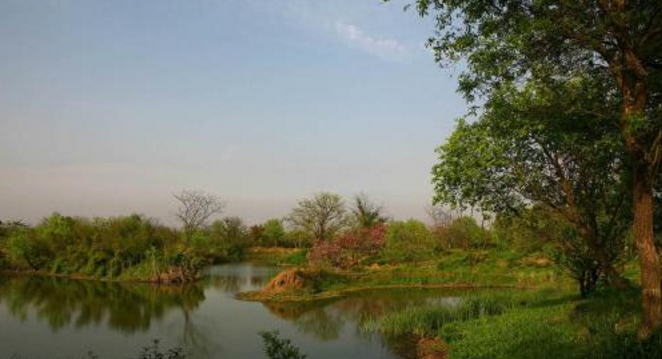杭州西溪湿地两日游攻略