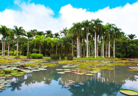 西双版纳必去景点