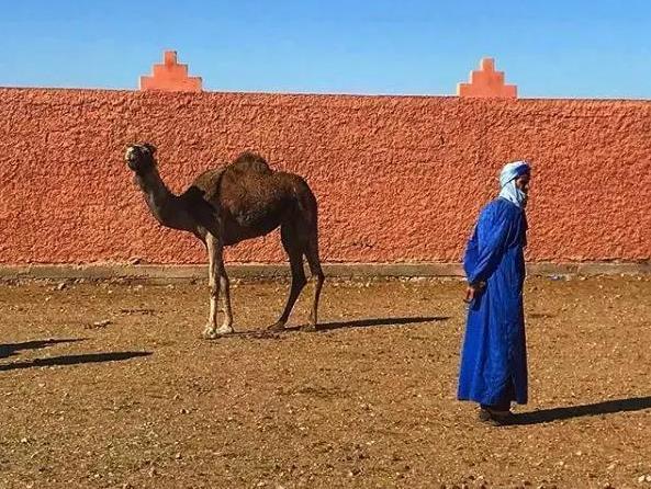 突尼斯和摩洛哥哪个好玩