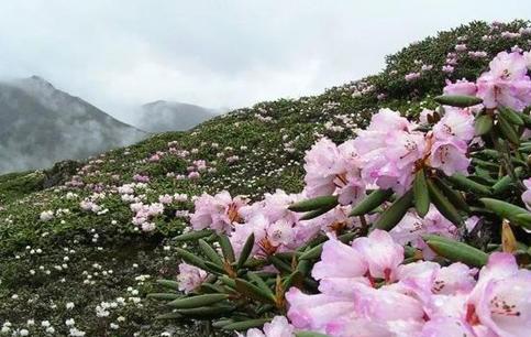 亞東縣海拔多少米 有什么好玩的