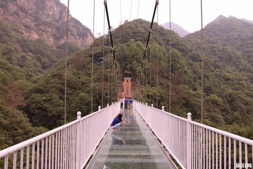 安徽5d玻璃桥在哪里 醉山野醉仙谷玻璃桥游玩视频