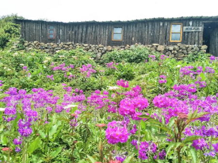 玉龙雪山门票多少钱