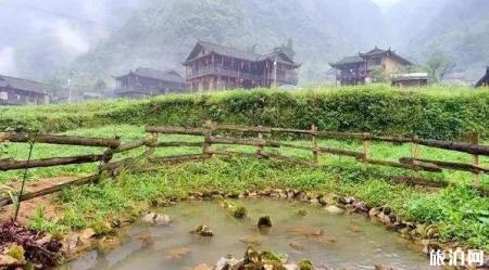 重庆周边不要门票的景点推荐
