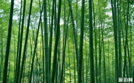 重庆周边不要门票的景点推荐