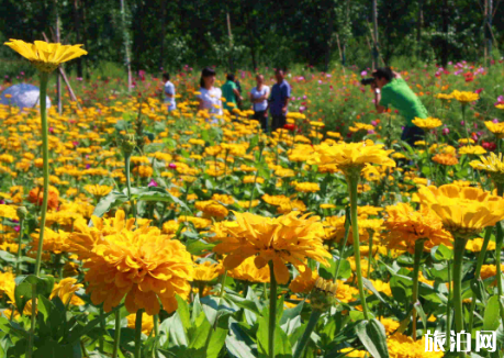 2018端午节成都香薰山谷门票有优惠吗