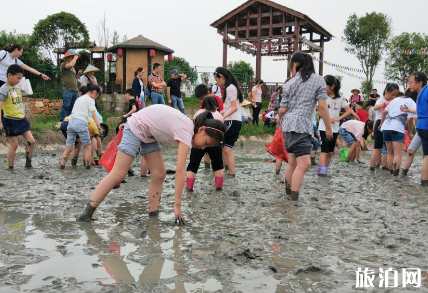 2018端午節寧鄉稻花香里有什么活動