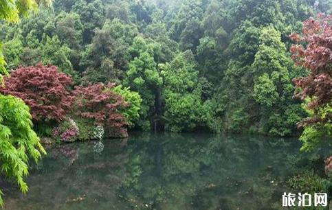 7月去哪里避暑好 浙江避暑地方推荐