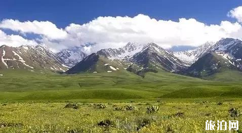 新疆旅游景点推荐 新疆旅游哪些地方比较好玩