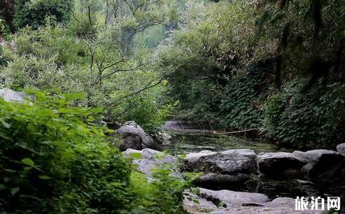 紫竹院公園門票價格多少錢