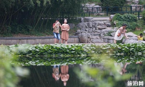 紫竹院公園門票價格多少錢