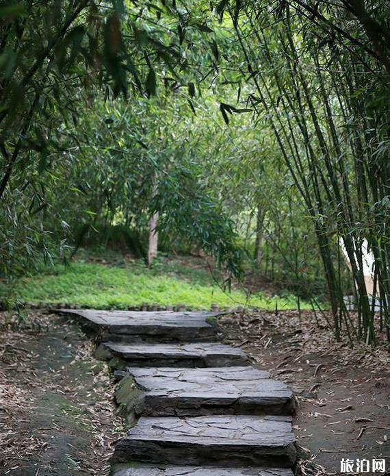 紫竹院公園門票價格多少錢