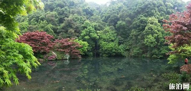 浙江7月份避暑的地方有哪些