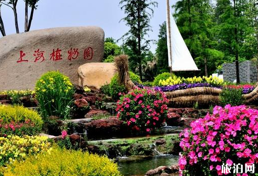 上海植物园停车收费多少钱 上海植物园停车方便吗