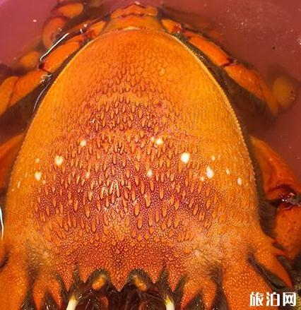 广东海岛旅游景点介绍+美食攻略