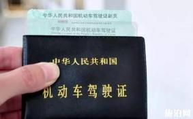 中国驾照在美国能用吗