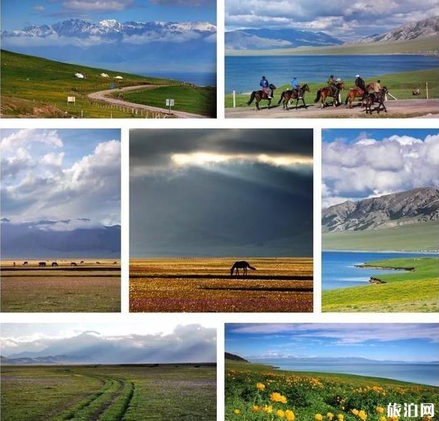 新疆哪里适合旅游景点
