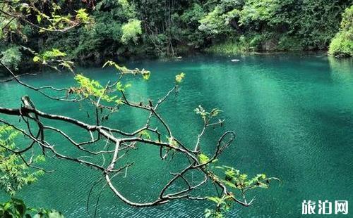 深圳到肇慶紫云谷避暑(門票+地址+交通指南)游玩攻略