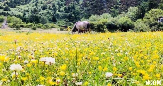 准考证旅游去四川有哪些免费的景点 免费景点介绍