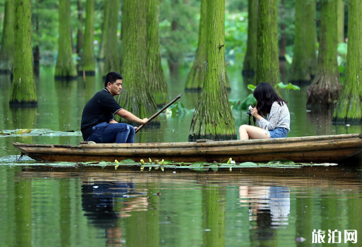 武汉抖音里水上森林在哪里 武汉水上森林具体位置