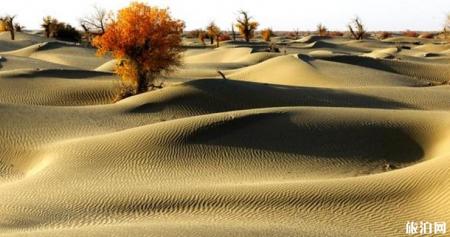 中国最美沙漠在哪里 中国最美沙漠介绍