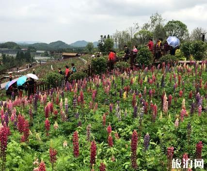 羊昌花画小镇在哪 羊昌花画小镇介绍