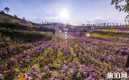 羊昌花畫小鎮在哪 羊昌花畫小鎮介紹