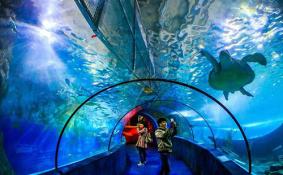 2018武汉东湖海洋乐园暑假门票多少钱+优惠信息
