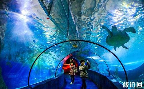 2018武汉东湖海洋乐园暑假门票多少钱+优惠信息